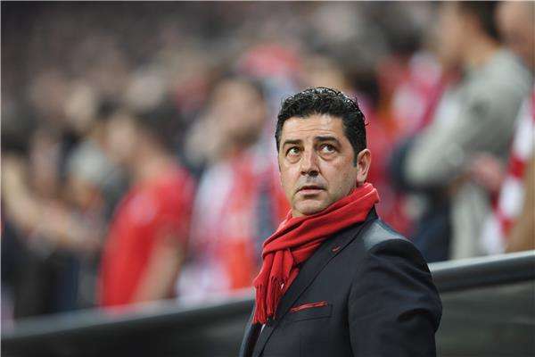 روي فيتوريا