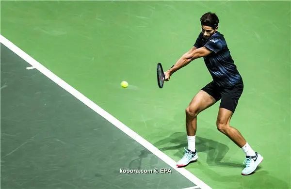 ?i=epa%2ftennis%2f2019-02%2f2019-02-12-07365536_epa