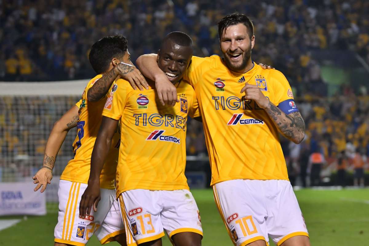 فرحة لاعبي تيجرس 