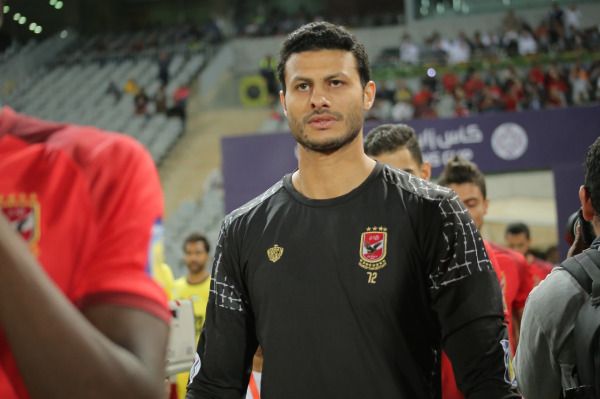  محمد الشناوي 