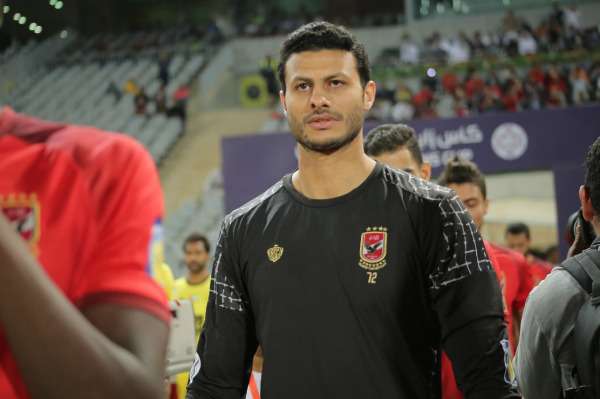  محمد الشناوي 