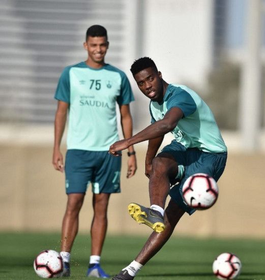 جانيني تفاريس