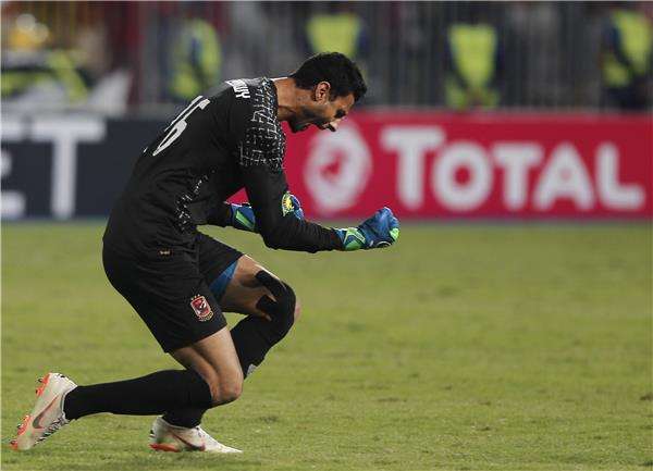  محمد الشناوي