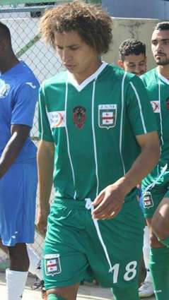 توفيق الصفصافي