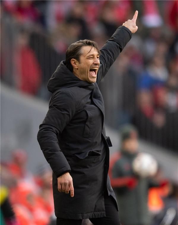 نيكو كوفاتش