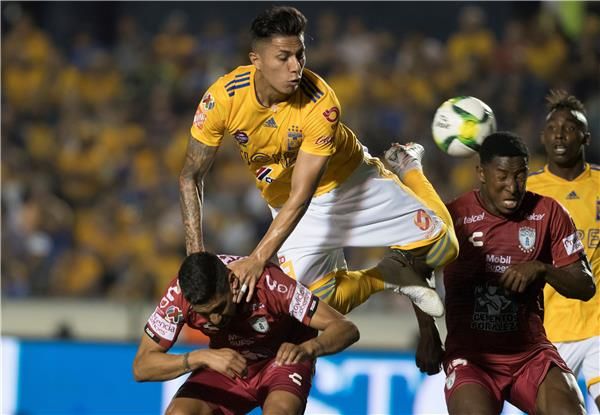 تيجريس وباتشوكا 