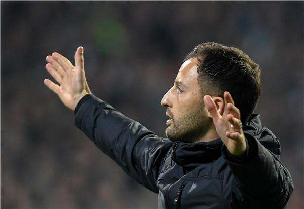 دومنيكو تيديسكو