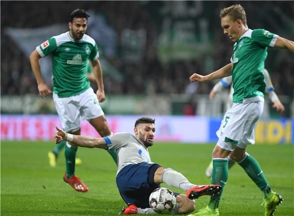 دانييل كاليوري