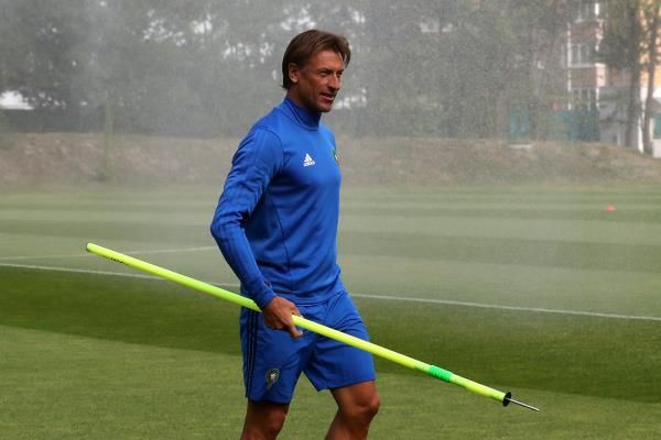 هيرفي رينارد 