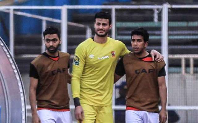 محمد الشناوي