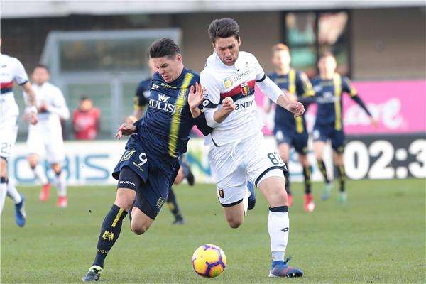 زوكانوفيتش