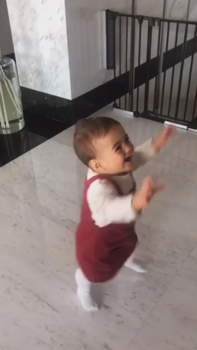 NINTCHDBPICT000476161166