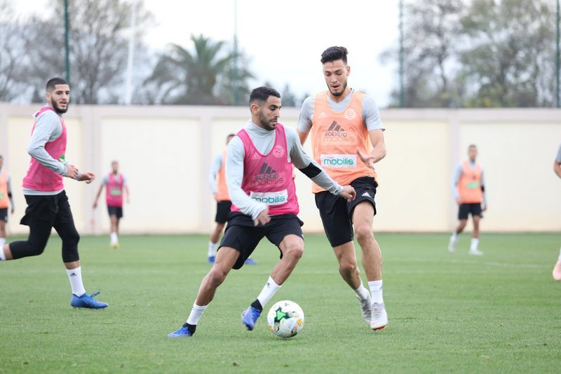 لاعبو المنتخب الجزائري