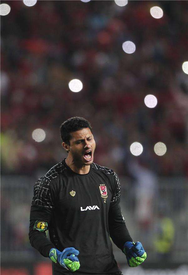 محمد الشناوي