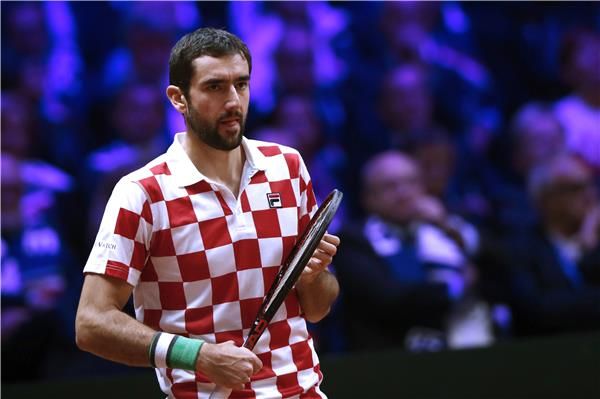 مارين شيليتش نجم كرواتيا