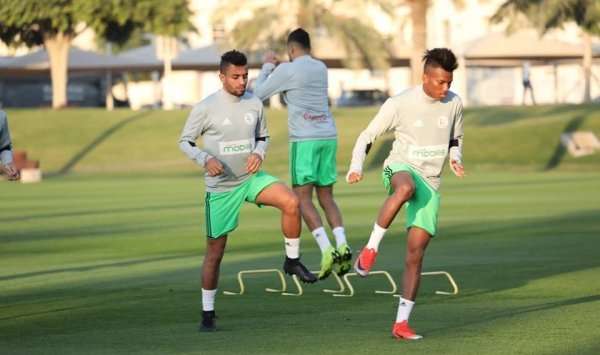 هشام بوداوي