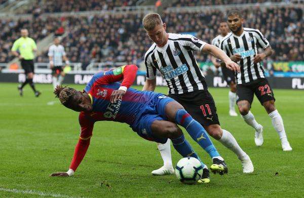 ويلفريد زاها