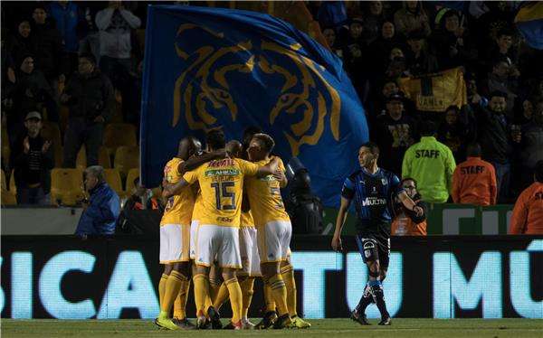 لاعبو تيجريس