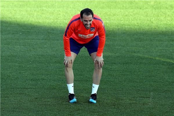 دييجو جودين