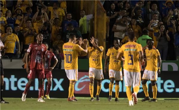 لاعبو تيجريس 