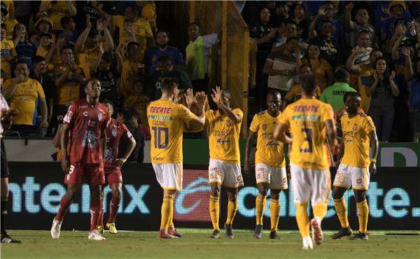 لاعبو تيجريس 