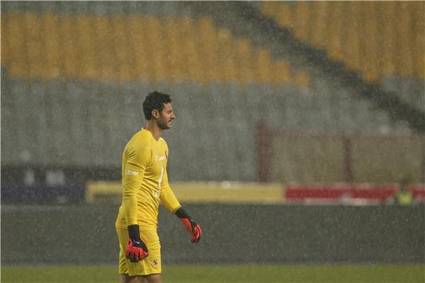 محمد الشناوي