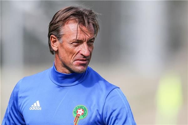 هيرفي رينارد 