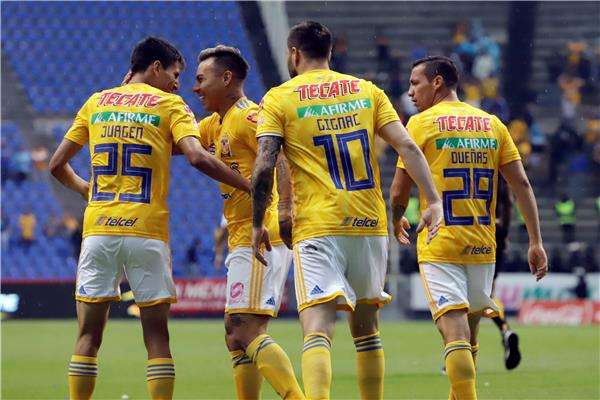 تيجريس أونال 