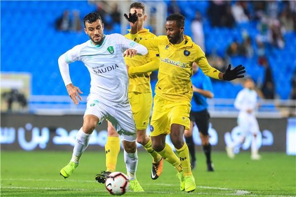 ربيع سفياني