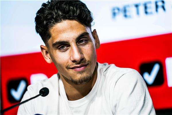 لودوفيت ريس