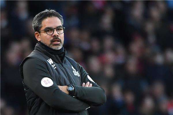 ديفيد فاجنر