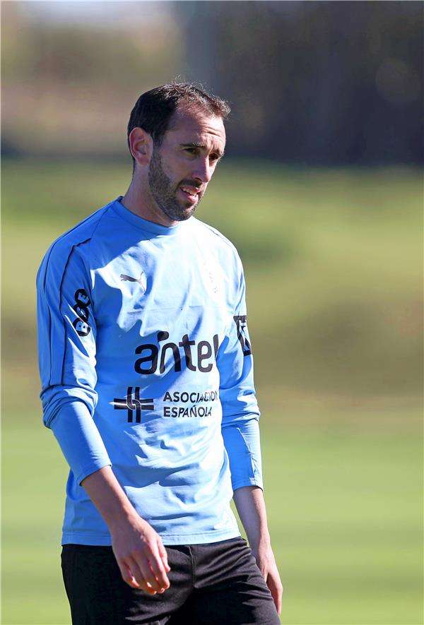 دييغو جودين