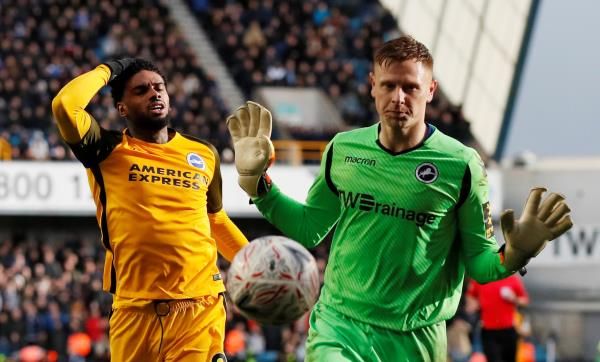 ديفيد مارتين