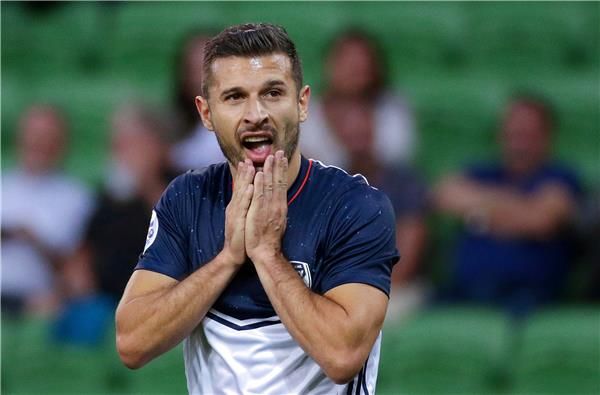 كوستا بارباروسيس