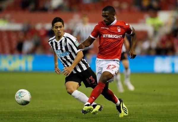 تينداي داريكوا