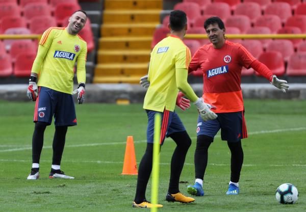 ديفيد أوسبينا