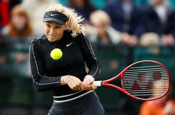 دونا فيكيتش