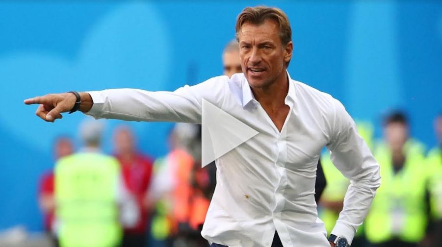 هيرفي رينارد