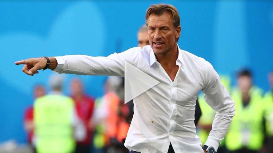 هيرفي رينارد