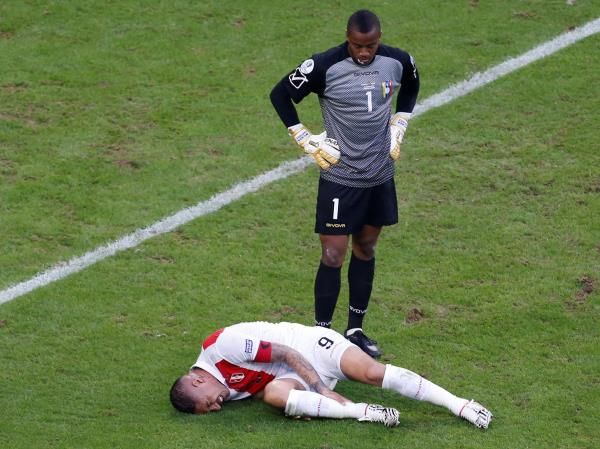 ويلكير فارينييز