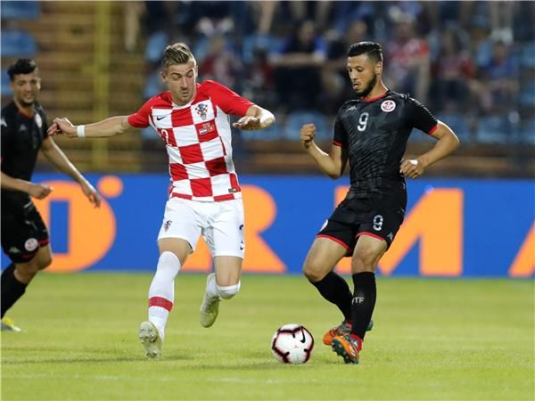 أنيس البدري