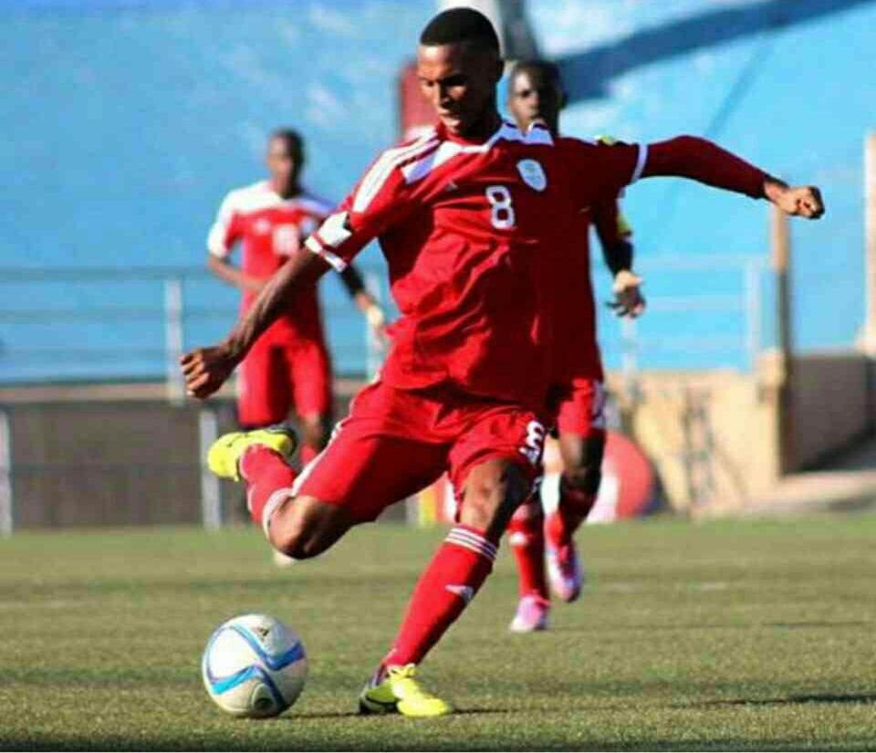 ويلي ستيفانوس