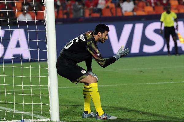 محمد الشناوي