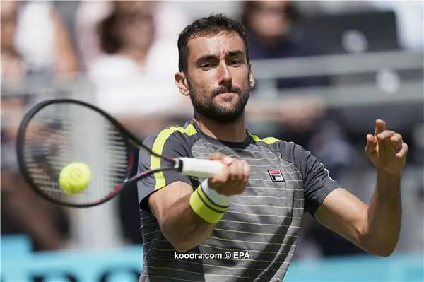 ?i=epa%2ftennis%2f2019-06%2f2019-06-17-07654263_epa