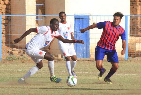 عنكبة يمين الصورة