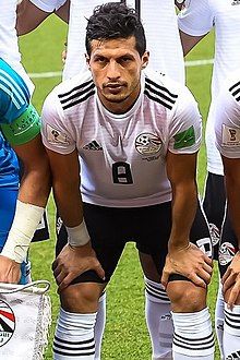 طارق حامد 