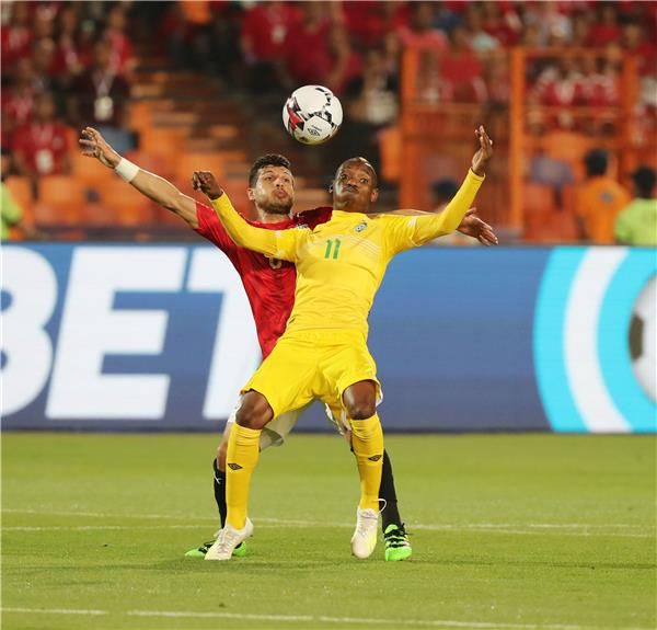 خاما بيليات 