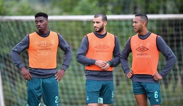 دجانيني تفاريس