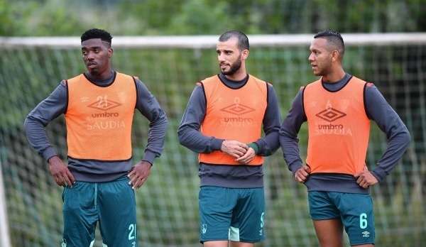 دجانيني تفاريس