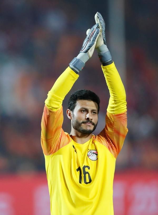 محمد الشناوي